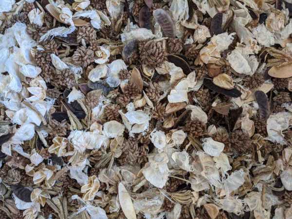 The Creams Unscented Potpourri