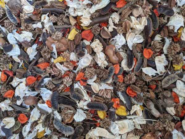 The Earth Tones Unscented Potpourri