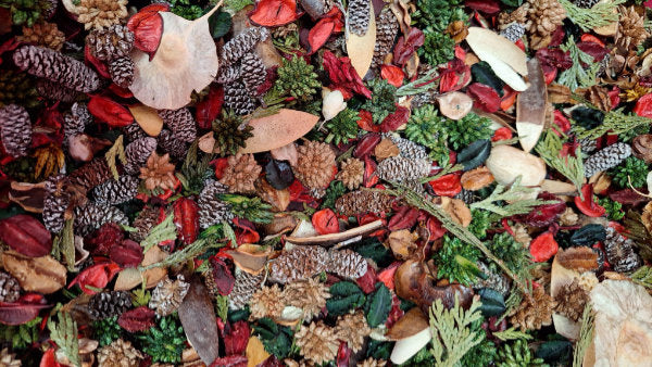 Country Christmas Potpourri