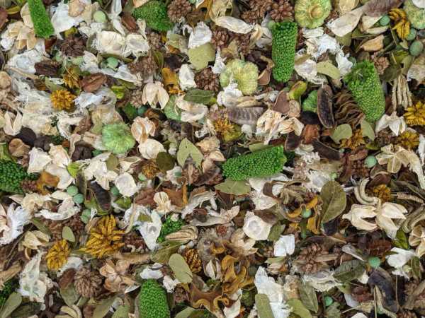 Cucumber Melon Potpourri