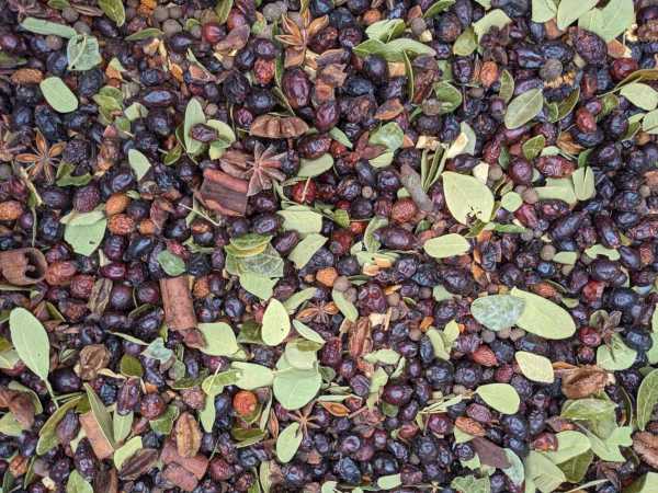Grungy Simmering Mix Rosehips