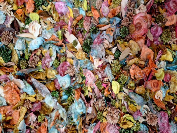 Colorful assortment of dried flowers and leaves