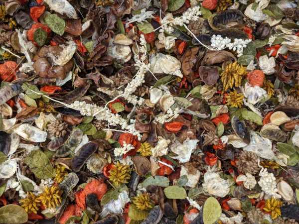 Just Peachy Potpourri