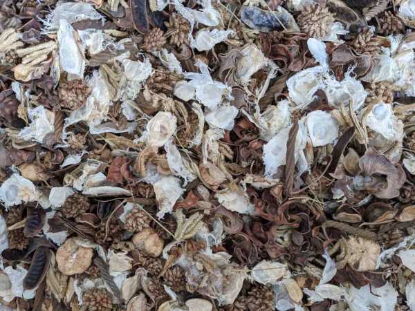 Sandalwood Potpourri