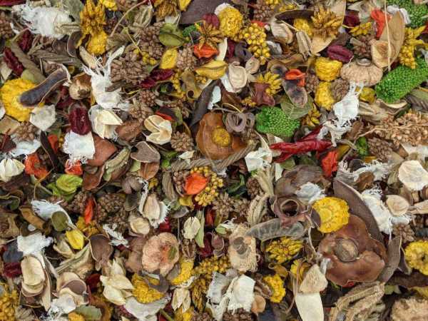 Scented Potpourri Blends