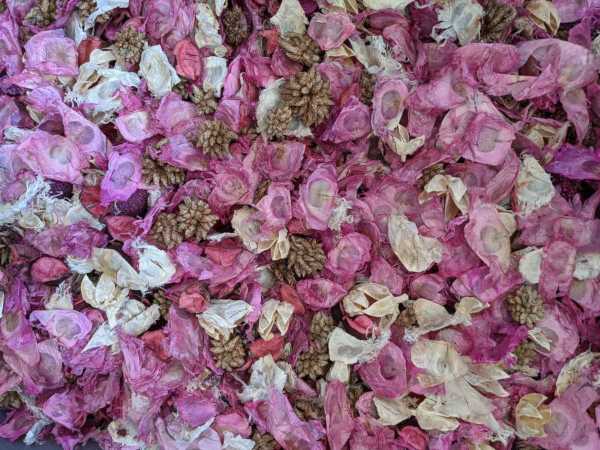 The Pinks Unscented Potpourri