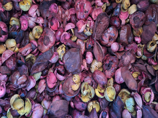 Close-up of a pile of dried purple fruits and chunky botanicals.
