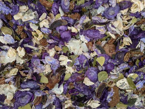 Fields of Lavender Potpourri