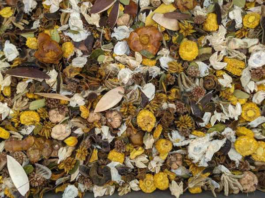 Lemon Grove Potpourri