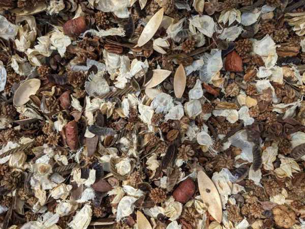 Vanilla Nut Potpourri