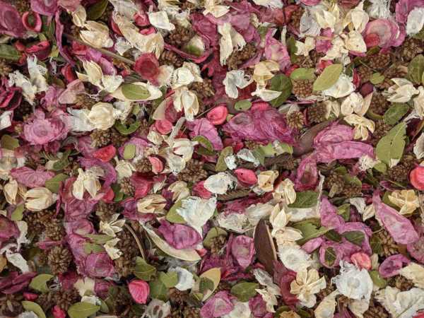 Lilacs in Bloom Potpourri