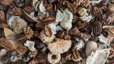 Natural Chunky Unscented Potpourri
